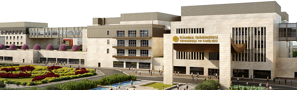 Istanbul University Capa & Cerrahpasa Campuses